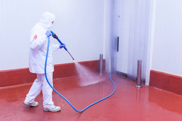 Animal Enclosure Cleaning in Pine City, MN