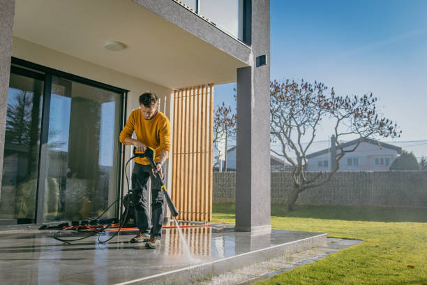 Best Driveway Pressure Washing  in Pine City, MN