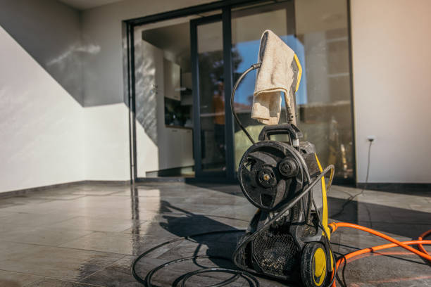 Best Pre-Holiday Cleaning  in Pine City, MN