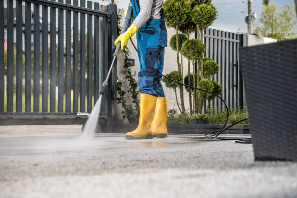 Best Solar Panel Cleaning  in Pine City, MN